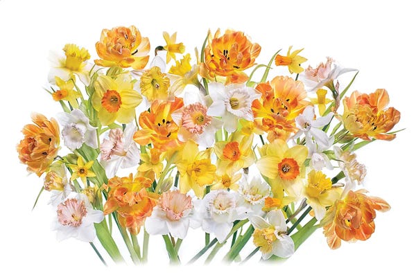 Scenic & Landscapes: Spirited by Jacky Parker