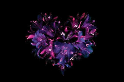 Heartfelt by Jacky Parker framed wall art