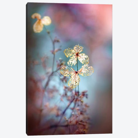 Simple Nature Canvas Print #PKR3} by Jacky Parker Canvas Wall Art