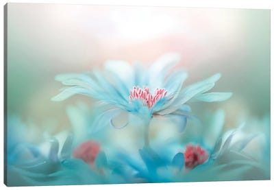 Fantasy Canvas Art Print - Floral Close-Up Art