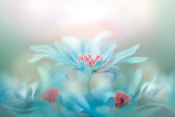 Scenic & Landscapes: Fantasy by Jacky Parker