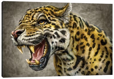Jaguar Canvas Art Print