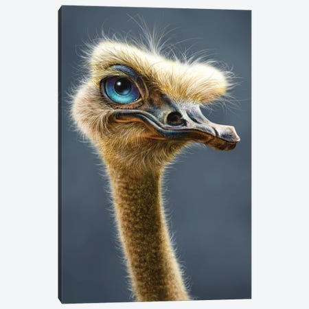 Ostrich Canvas Print #PLA28} by Patrick LaMontagne Canvas Art