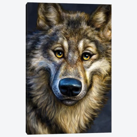 Wolf Canvas Print #PLA49} by Patrick LaMontagne Canvas Art