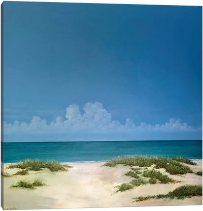 Beach Access Canvas Art Print