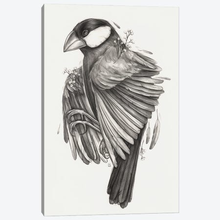 Finch Bird Canvas Print #PLK17} by Polina Kharlamova Canvas Art