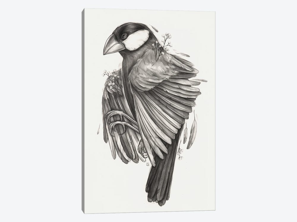 Finch Bird by Polina Kharlamova 1-piece Canvas Art