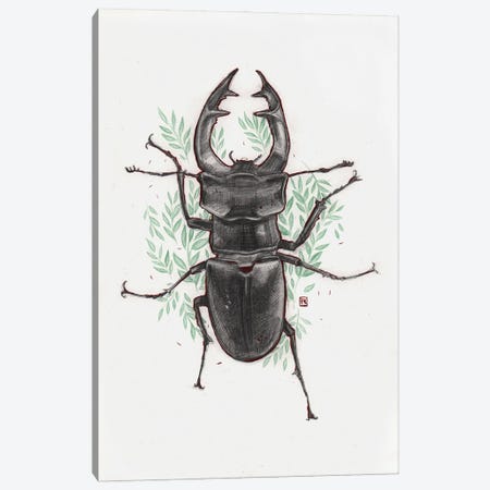 Stag Beetle Canvas Print #PLK28} by Polina Kharlamova Canvas Artwork