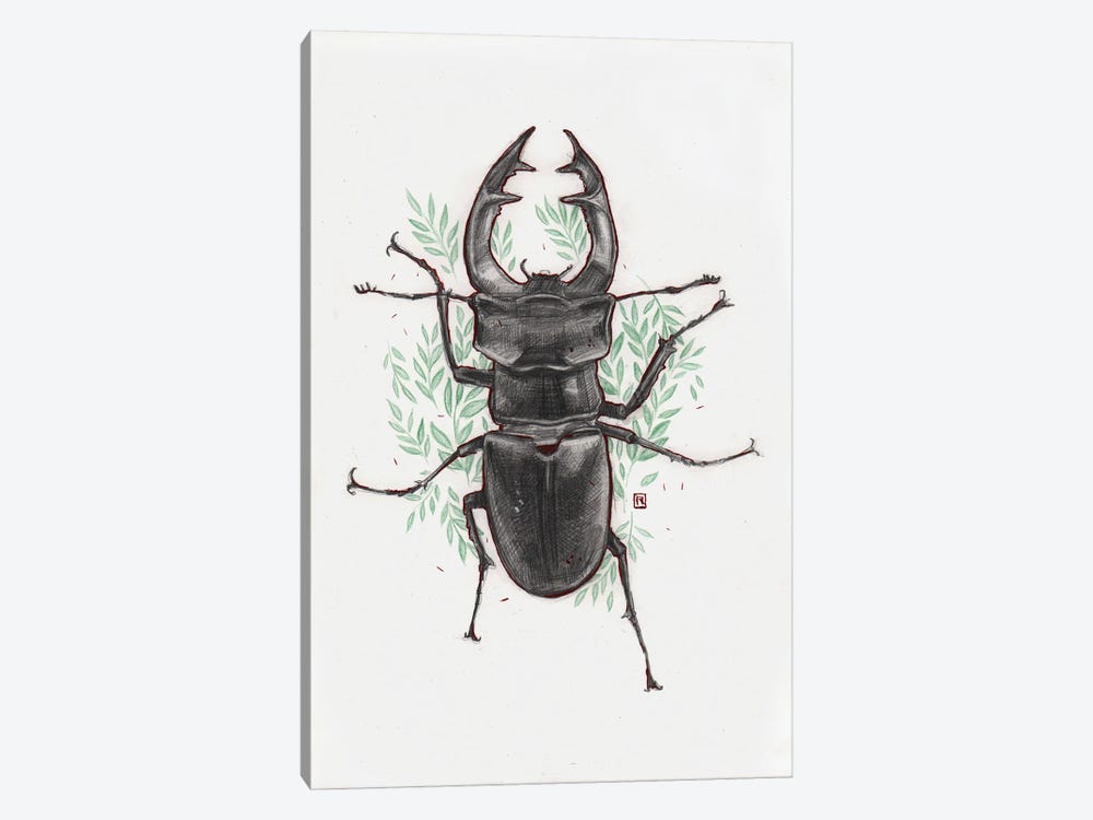 Stag Beetle by Polina Kharlamova 1-piece Canvas Wall Art