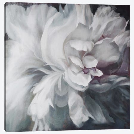 Cold Flower Canvas Print #PLK42} by Polina Kharlamova Canvas Wall Art