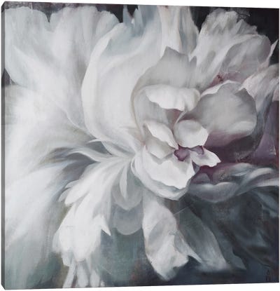 Cold Flower Canvas Art Print