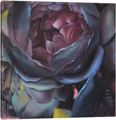 Dark Flower Canvas Art Print - Peony Art