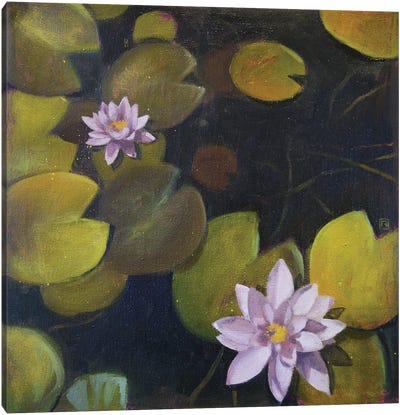 Lily Pond Canvas Art Print