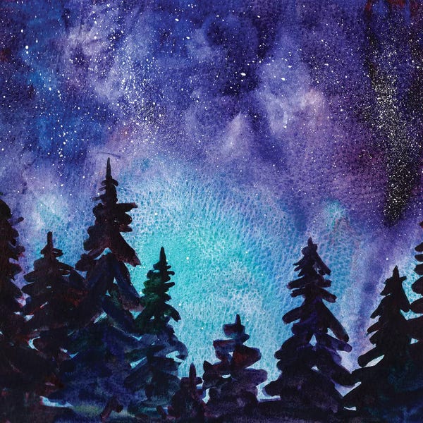 Pine Trees: Night Sky III by Paul McCreery