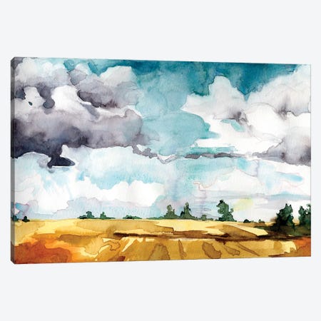 Open Skies III Canvas Print #PLM47} by Paul McCreery Canvas Art Print