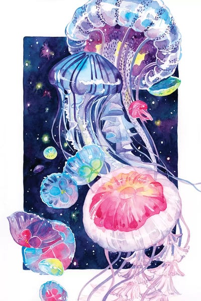 Jellyfish