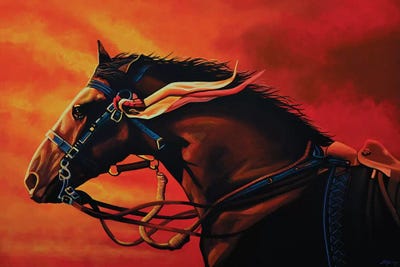 Warhorse Joey by Paul Meijering canvas print