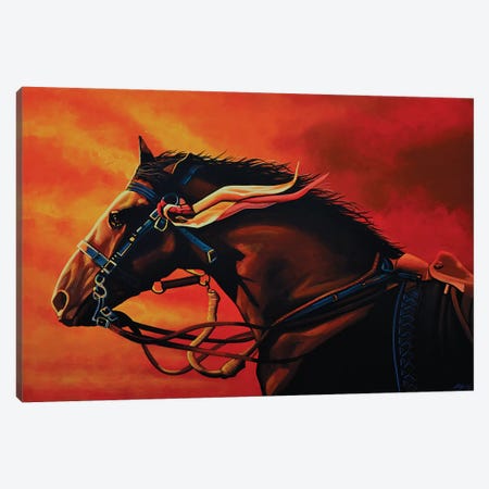 Warhorse Joey Canvas Print #PME158} by Paul Meijering Canvas Art Print