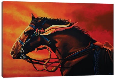 Warhorse Joey Canvas Art Print - Paul Meijering