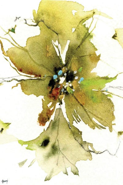 Dogwood Flower by Pamela Harnois art print