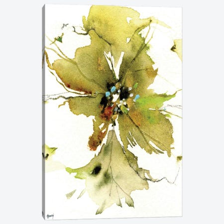 Dogwood Flower Canvas Print #PMH19} by Pamela Harnois Canvas Art Print