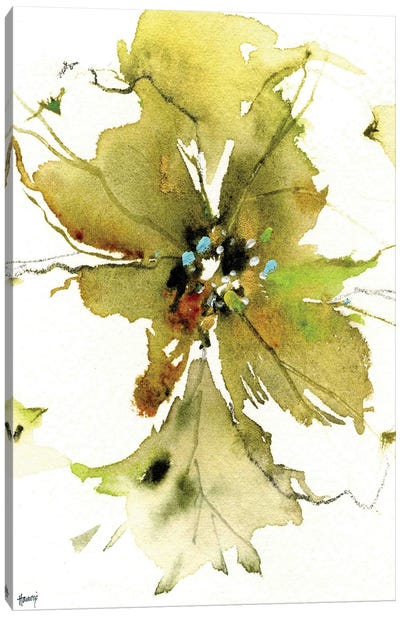 Dogwood Flower Canvas Art Print - Pamela Harnois