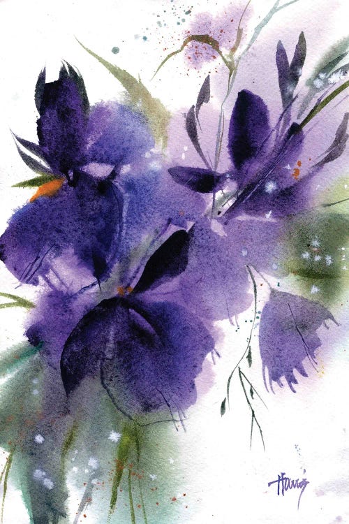 Purple Irises