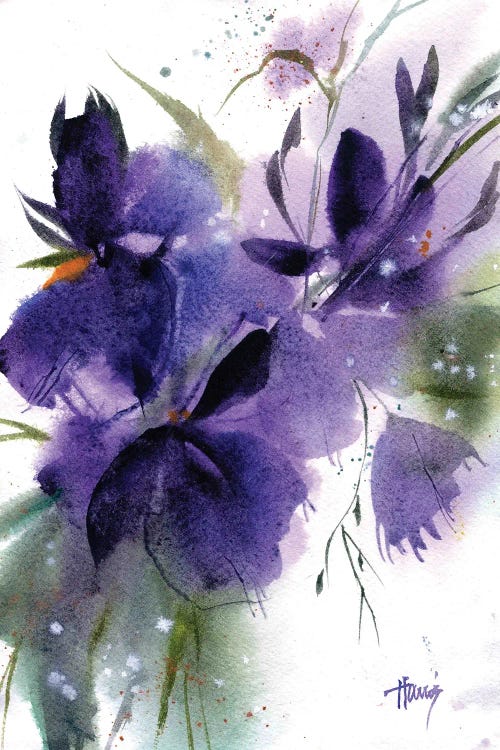 Purple Irises by Pamela Harnois wall art