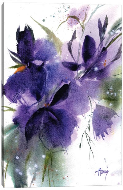 Purple Irises Canvas Art Print - Pamela Harnois