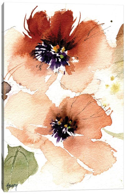 Peach Poppy Flowers Canvas Art Print - Pamela Harnois