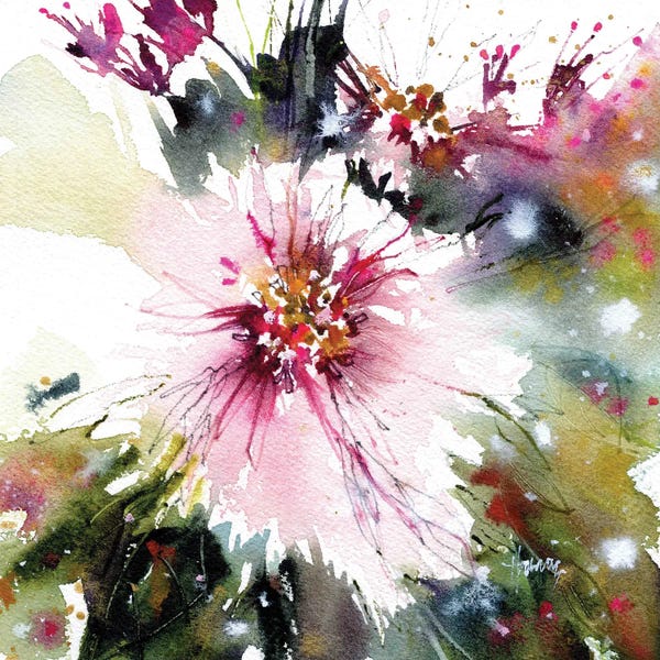 Intuitive Abstracts: Dahlia Flowers by Pamela Harnois