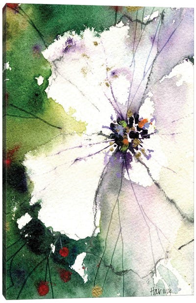 Wild White Rose Canvas Art Print - Pamela Harnois