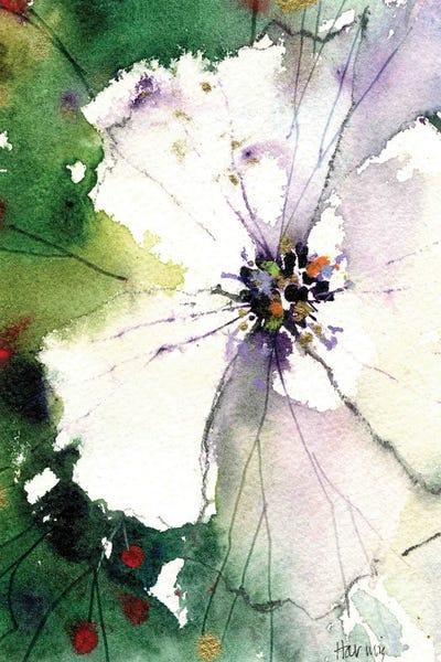 Fine Art Print: Wild White Rose by Pamela Harnois