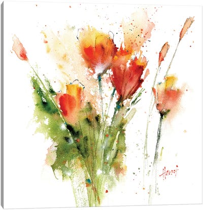 Wild Poppies Canvas Art Print - Pamela Harnois