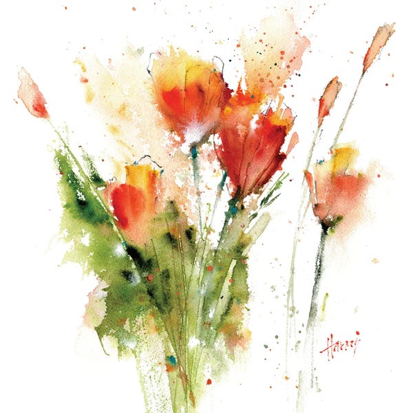 Watercolor Flowers: Wild Poppies by Pamela Harnois