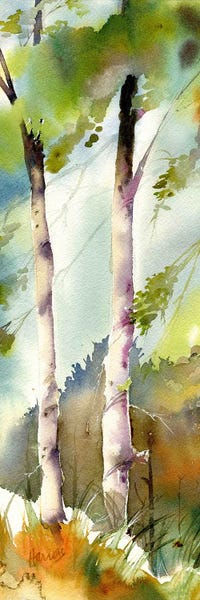 Panoramic Vertical: New Beginnings by Pamela Harnois