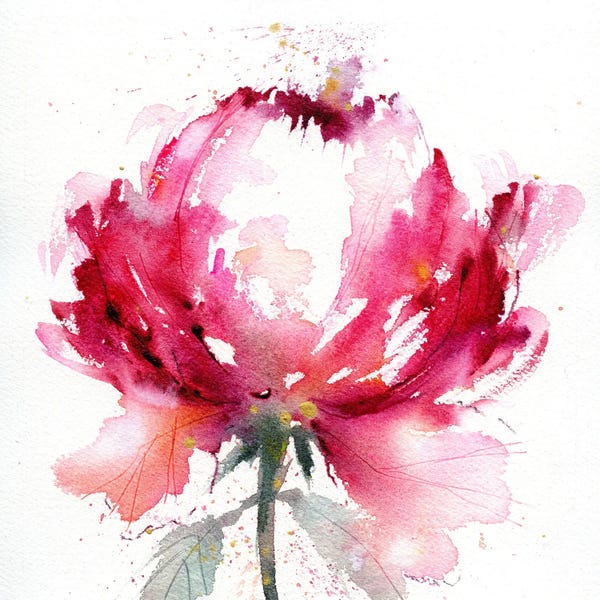 Peonies: Peony Love by Pamela Harnois