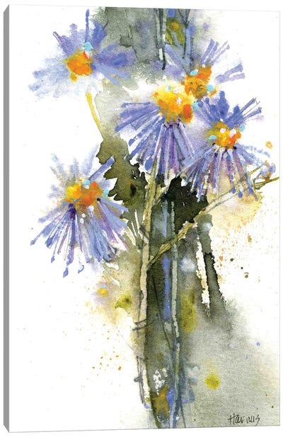 Blue Aster Wildflowers Canvas Art Print - Pamela Harnois