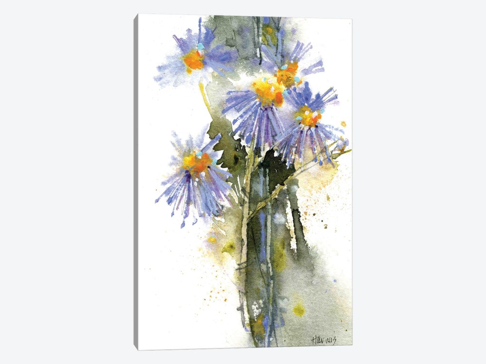 Blue Aster Wildflowers by Pamela Harnois 1-piece Canvas Print