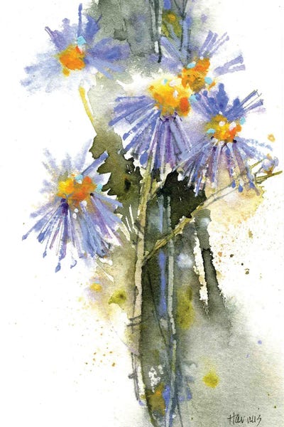 Watercolor Flowers: Blue Aster Wildflowers by Pamela Harnois