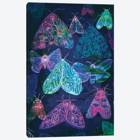 Floral Night Moths II Canvas Print #PMI12} by Sweet William Canvas Artwork