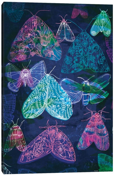Floral Night Moths II Canvas Art Print