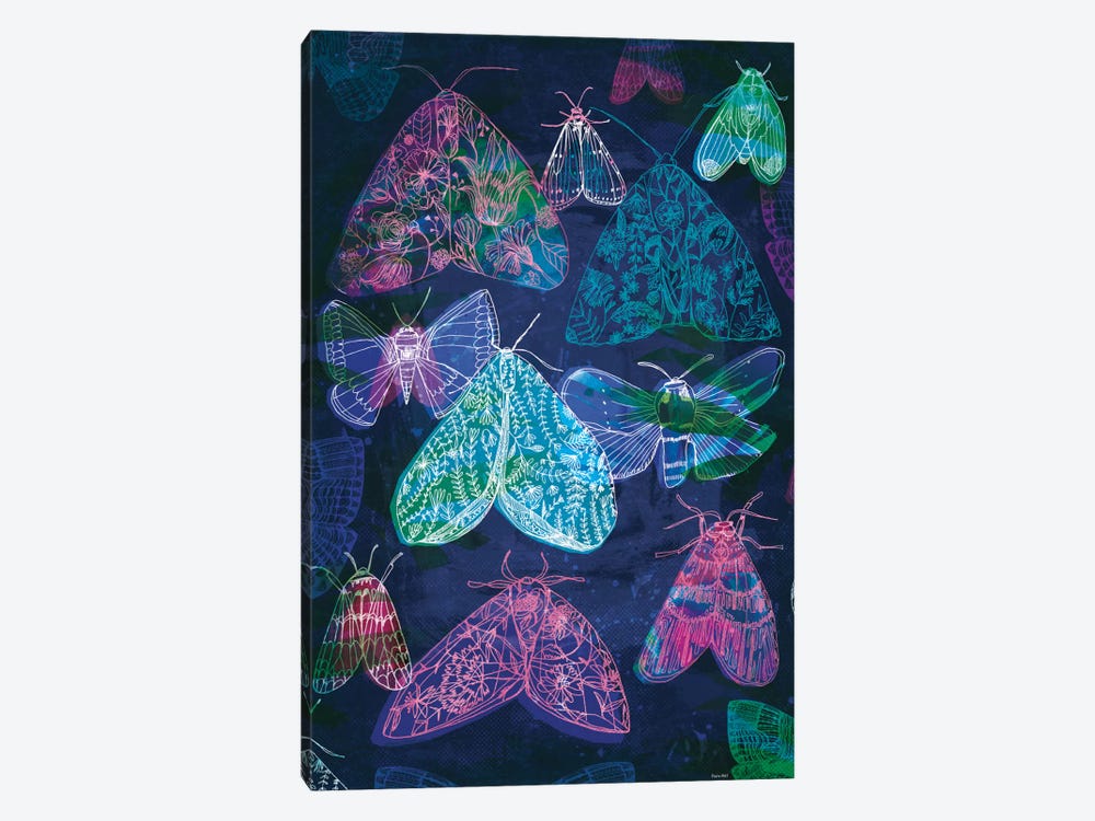 Floral Night Moths II by Sweet William 1-piece Canvas Artwork