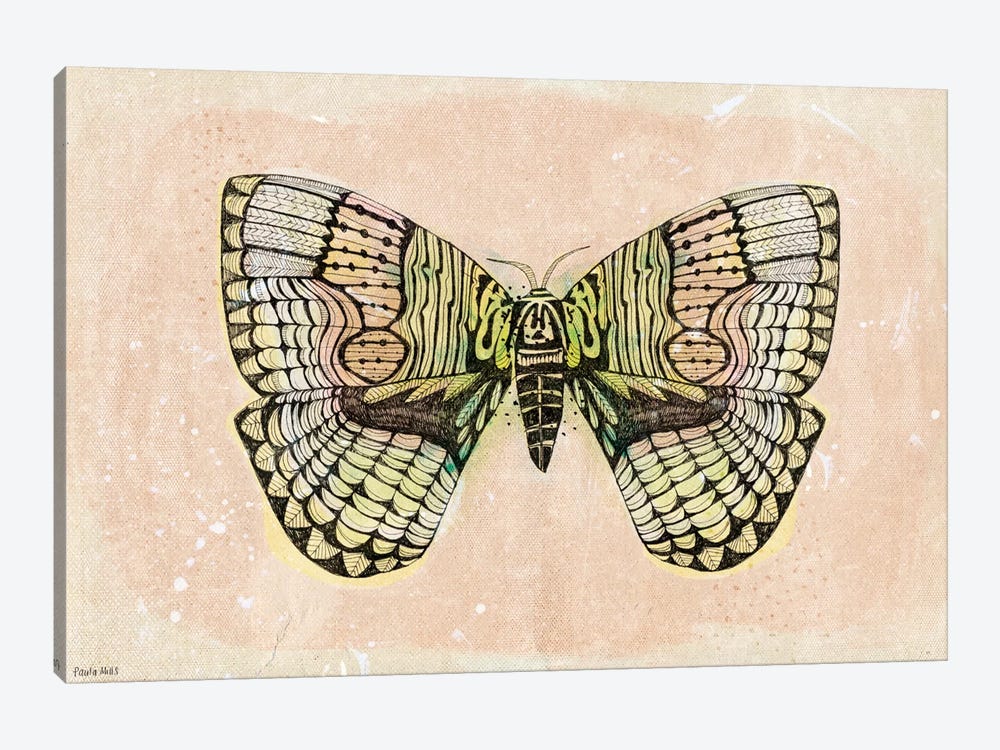 Moth Patterns by Sweet William 1-piece Art Print