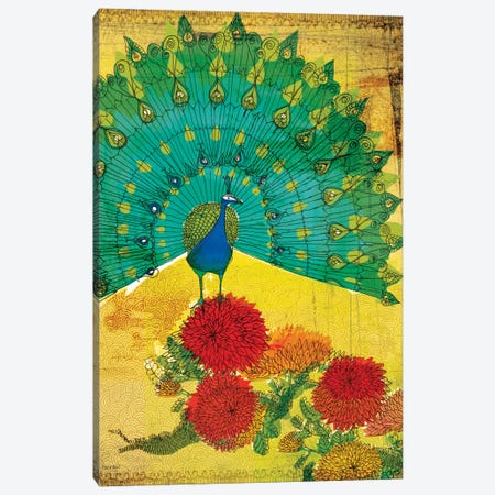 Peacock Canvas Print #PMI37} by Sweet William Canvas Art Print