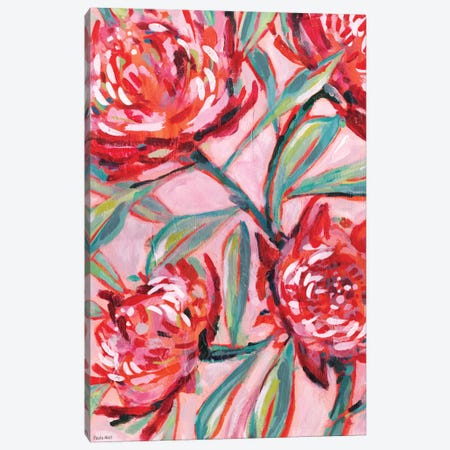 Waratah Painting Canvas Print #PMI44} by Sweet William Canvas Wall Art