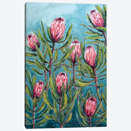 Pink Protea Painting Canvas Print #PMI48} by Sweet William Canvas Print