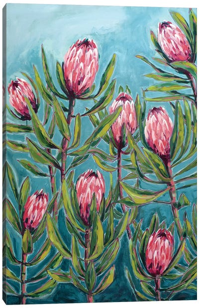 Pink Protea Painting Canvas Art Print - Protea