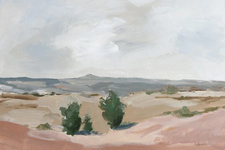 Arid by Pamela Munger wall art