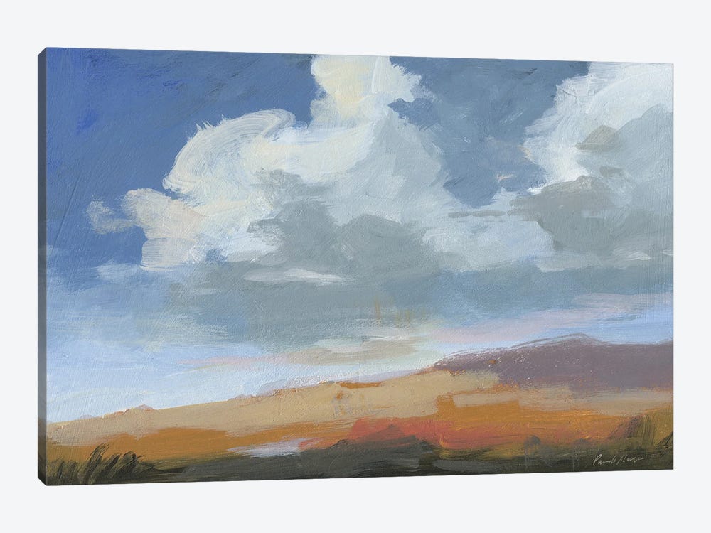 August Sky by Pamela Munger 1-piece Canvas Artwork